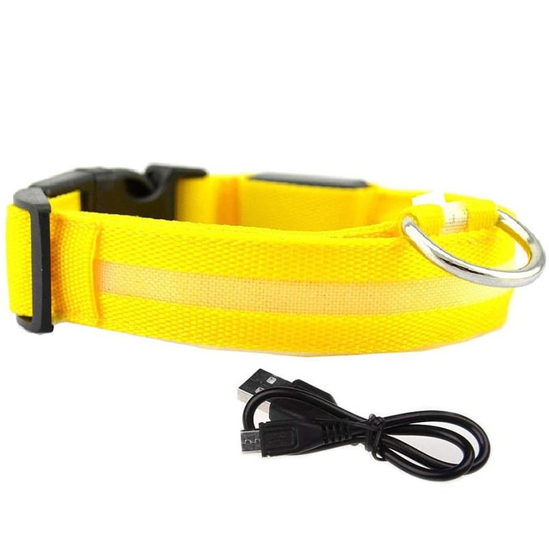 LED Rechargeable Adjustable Night Light Waterproof Glowing Dog Collars - Annie Paw Wear_¨å_AnniePaw Wear