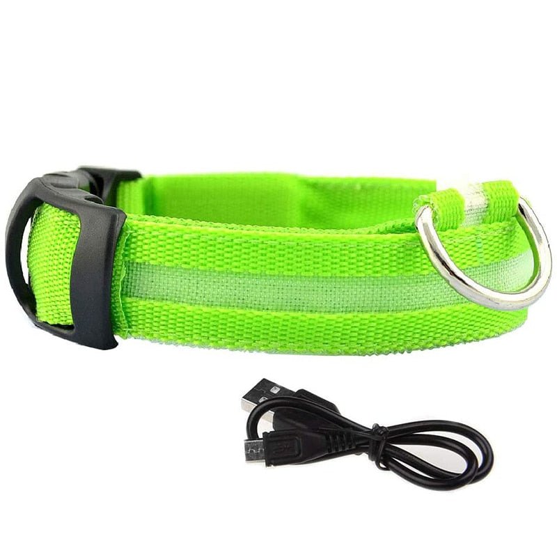LED Rechargeable Adjustable Night Light Waterproof Glowing Dog Collars - Annie Paw Wear_¨å_AnniePaw Wear