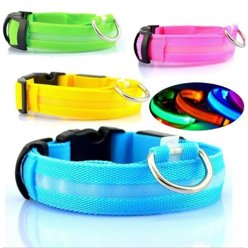 LED Rechargeable Adjustable Night Light Waterproof Glowing Dog Collars - Annie Paw Wear_¨å_AnniePaw Wear