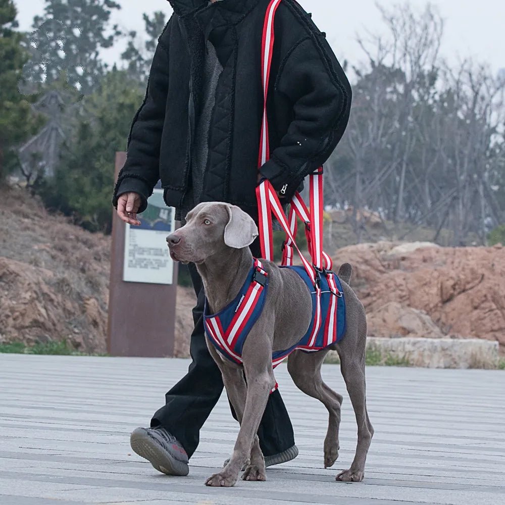 Lifting Harness For Dogs Rear Lifting Sling With Shoulder Strap For Back Legs Hip Support - Annie Paw WearNursing & ReliefAnnie Paw Wear