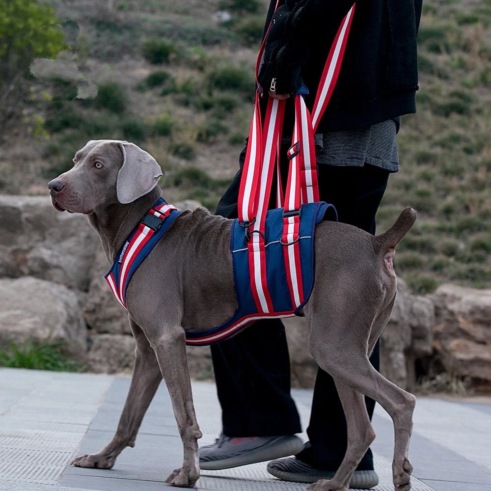 Lifting Harness For Dogs Rear Lifting Sling With Shoulder Strap For Back Legs Hip Support - Annie Paw WearNursing & ReliefAnnie Paw Wear