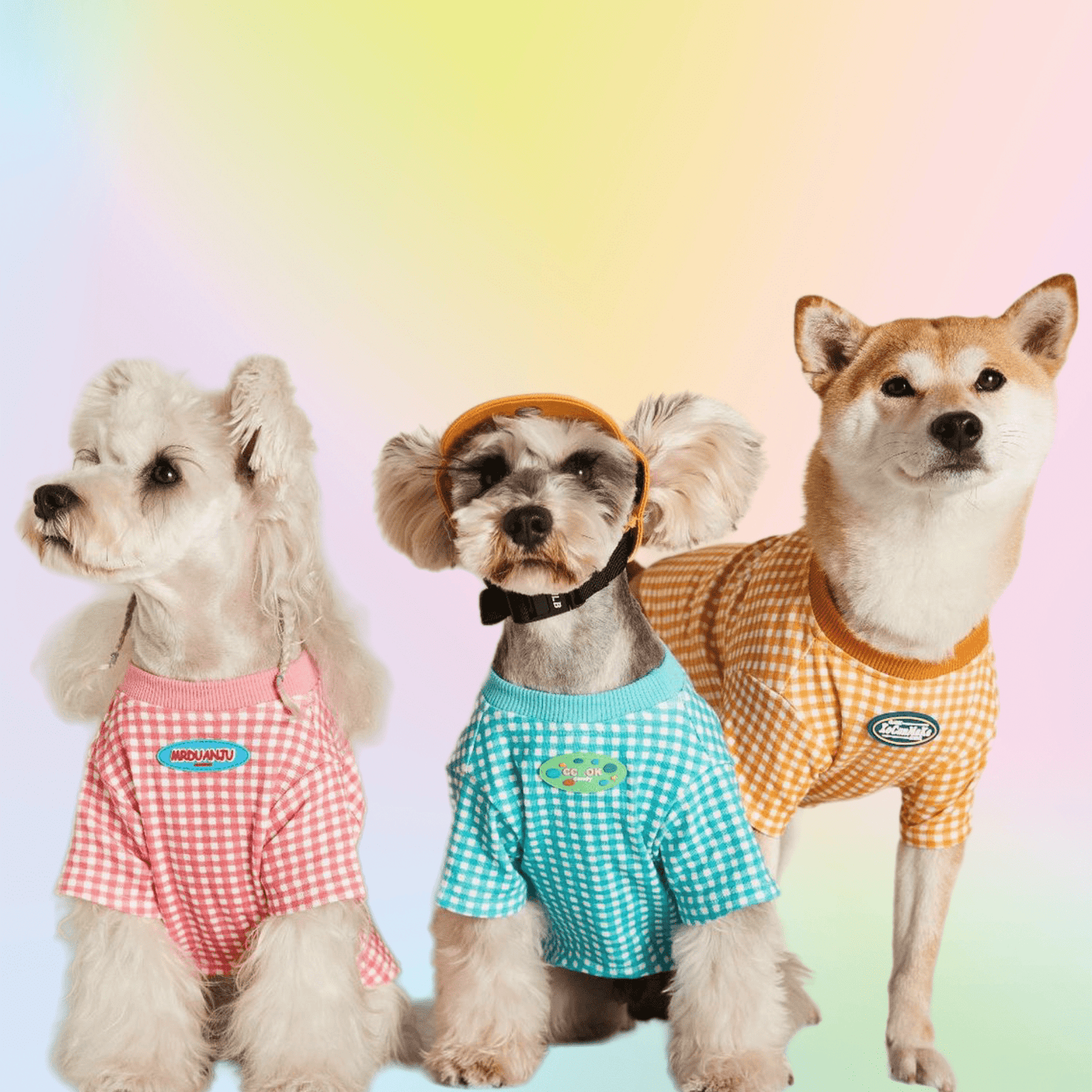 Macaron Plaid Pup Tee - Annie Paw WearSummer OutwearAnniePaw Wear