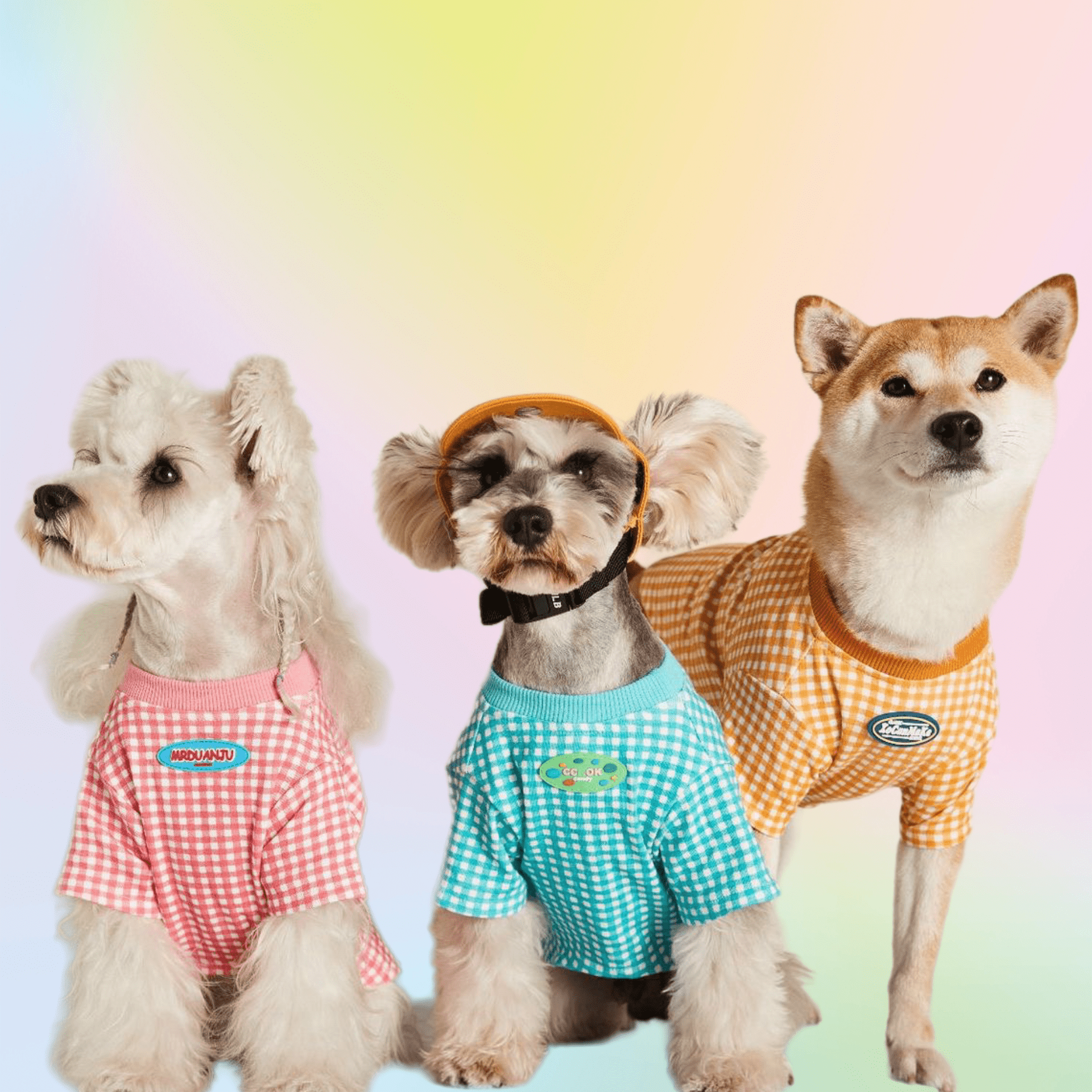 Macaron Plaid Pup Tee - Annie Paw WearSummer OutwearAnniePaw Wear