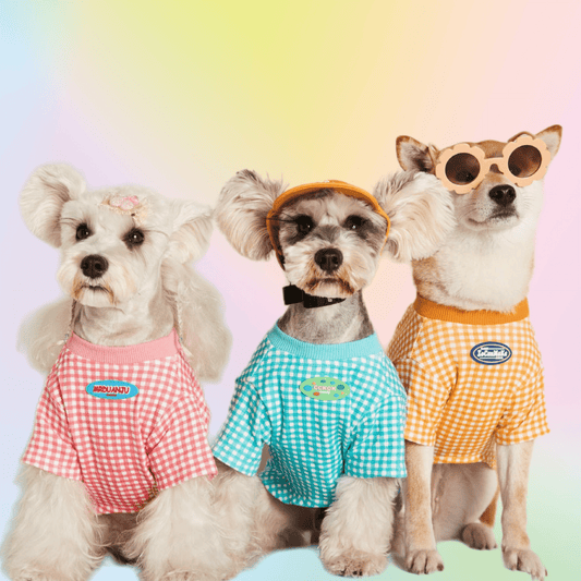 Macaron Plaid Pup Tee - Annie Paw WearSummer OutwearAnniePaw Wear