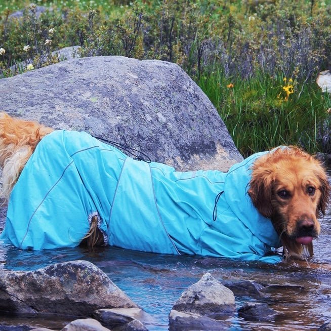 Manhattan Maverick Suit - Annie Paw WearOutdoor WearAnniePaw Wear