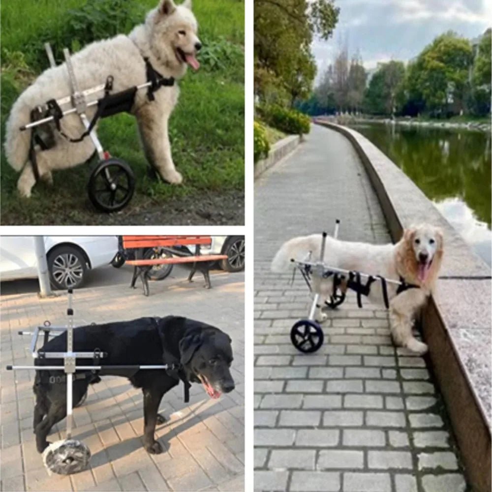 Medium Large Dogs Wheelchair : Hind Limb Lumbar Paralysis Rehabilitation Training Scooter Mobility Assistance - Annie Paw WearNursing & ReliefAnnie Paw Wear