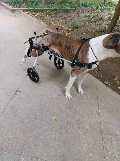 Medium Large Dogs Wheelchair : Hind Limb Lumbar Paralysis Rehabilitation Training Scooter Mobility Assistance - Annie Paw WearNursing & ReliefAnnie Paw Wear