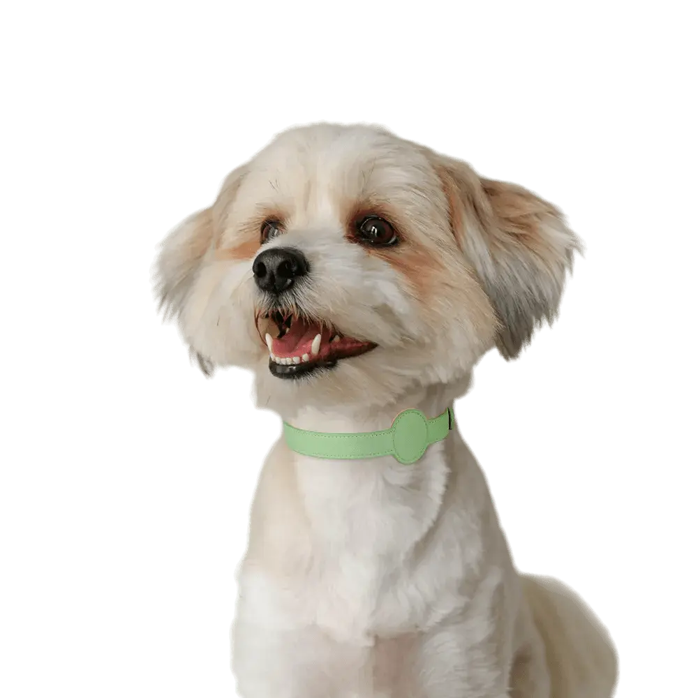 New Pet Cat Collar Safety Anti-Lost Removable Pet Positioning Tracking Collar AirTag Dog Collar Outdoors Walking Pet Supplies - Annie Paw WearCollar & LeashAnniePaw Wear