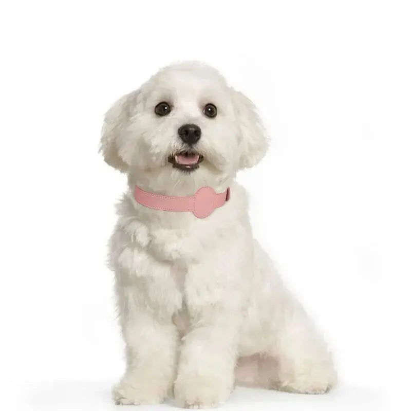 New Pet Cat Collar Safety Anti-Lost Removable Pet Positioning Tracking Collar AirTag Dog Collar Outdoors Walking Pet Supplies - Annie Paw WearCollar & LeashAnniePaw Wear