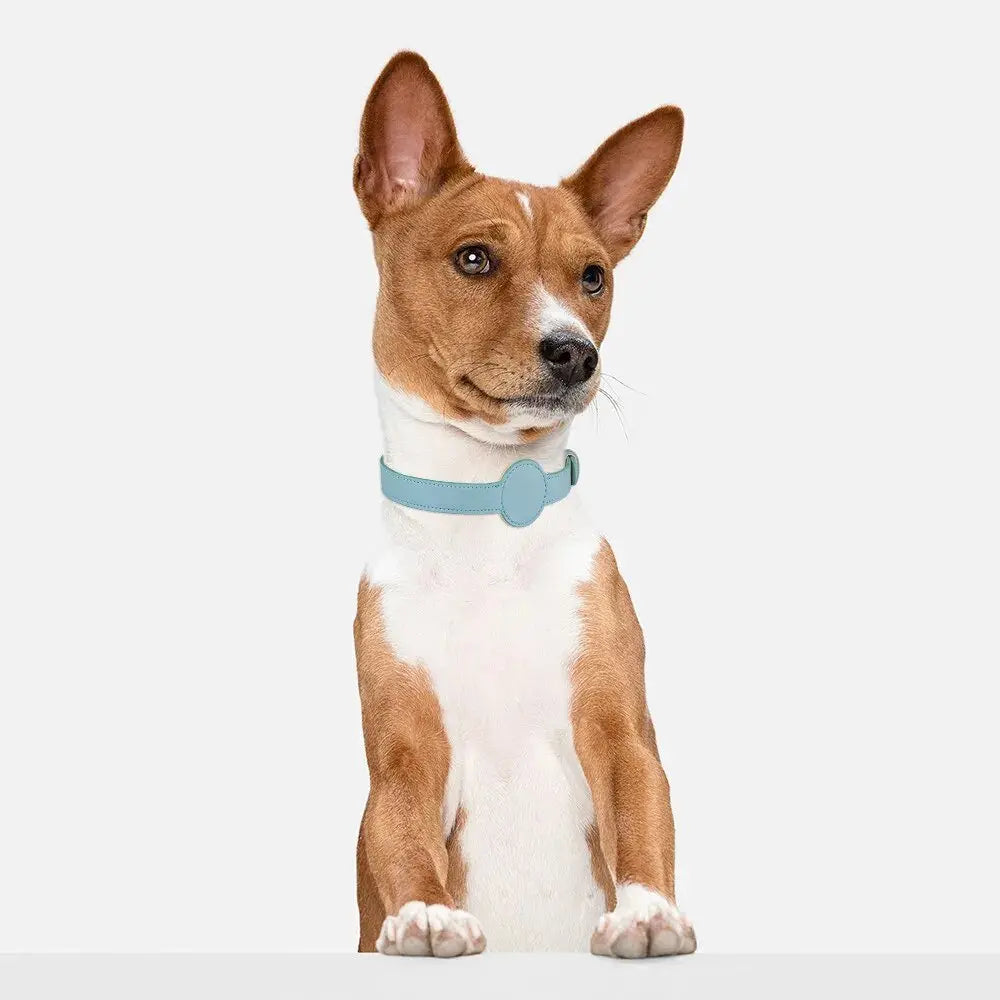 New Pet Cat Collar Safety Anti-Lost Removable Pet Positioning Tracking Collar AirTag Dog Collar Outdoors Walking Pet Supplies - Annie Paw WearCollar & LeashAnniePaw Wear