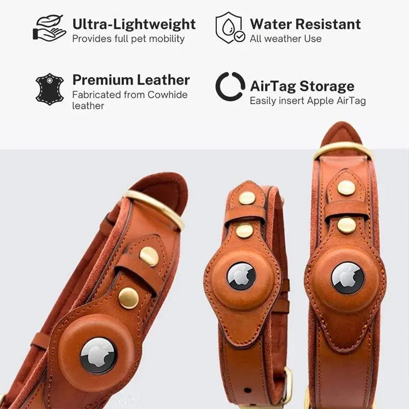 New Removable Locating Pet Collar AirTag Collar Anti-Lost Dog Tracker Protective Case Dog Collar Outdoors Walking Pet Supplies - Annie Paw WearCollar & LeashAnniePaw Wear