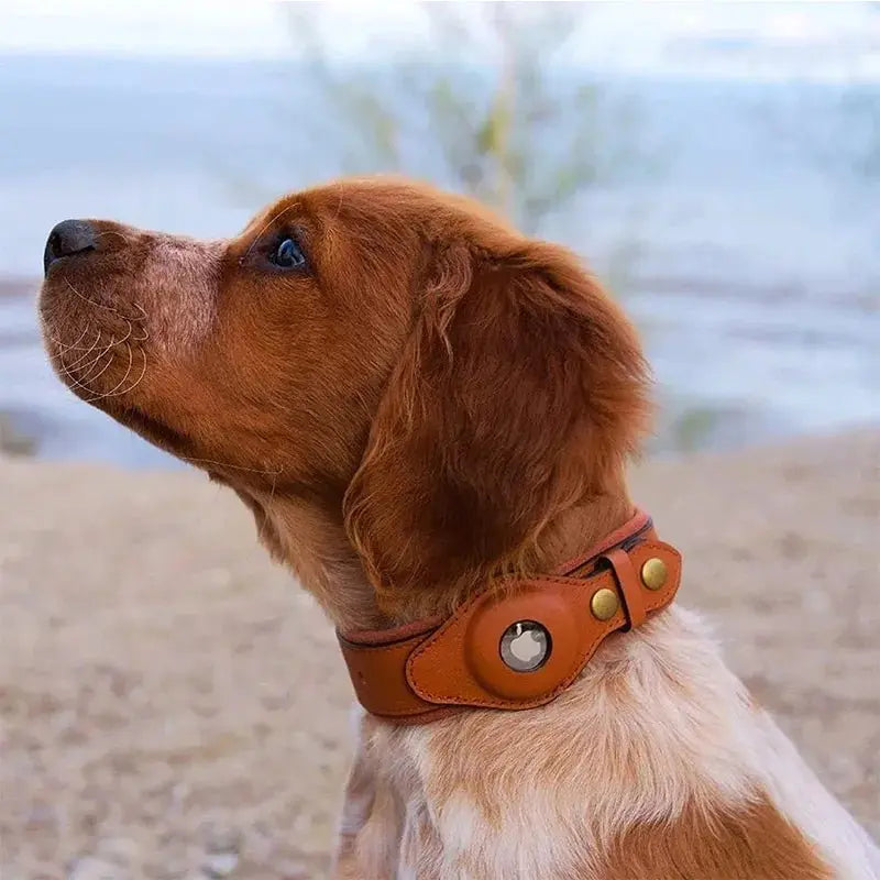New Removable Locating Pet Collar AirTag Collar Anti-Lost Dog Tracker Protective Case Dog Collar Outdoors Walking Pet Supplies - Annie Paw WearCollar & LeashAnniePaw Wear