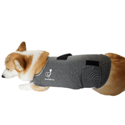 Nurture Anti-anxiety Stress Wrap: Calming Embrace Thunder Shirts for Dogs Cats - Annie Paw WearNursing & ReliefAnniePaw Wear