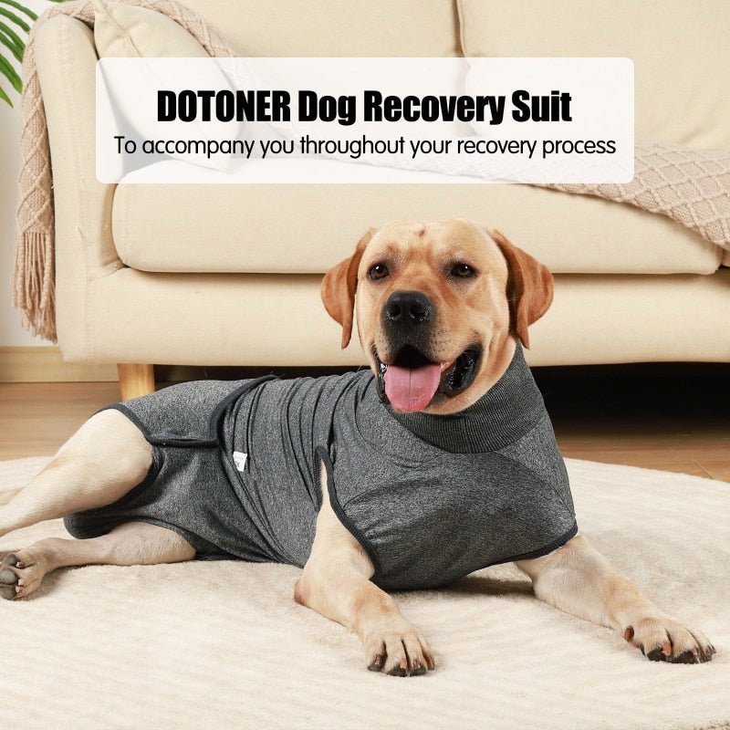 NurtureElite Professional Pet Recovery Suit: Superior Care After Surgery - Annie Paw WearNursing & ReliefAnniePaw Wear