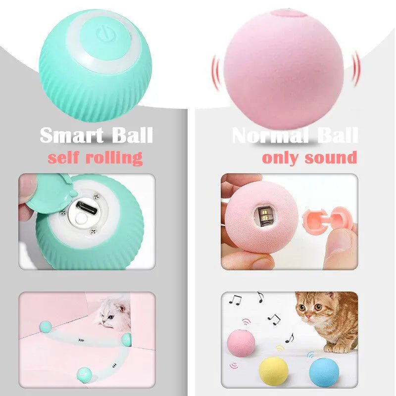 Pet Automatic Rolling Cat Toy Training Self-propelled Kitten Toy Indoor Interactive Play Electric Smart Cat Ball Toy Supplies - Annie Paw WeartoyAnnie Paw Wear
