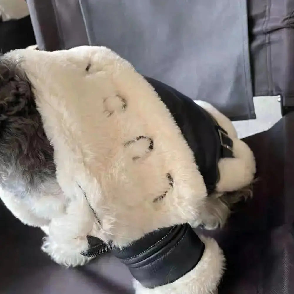 Anniepaw Winter Warm Jacket Wool Sweater Leather Coat for Small Dogs AnniePaw Wear