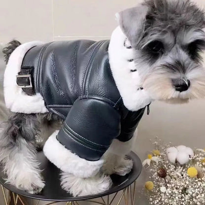 Anniepaw Winter Warm Jacket Wool Sweater Leather Coat for Small Dogs