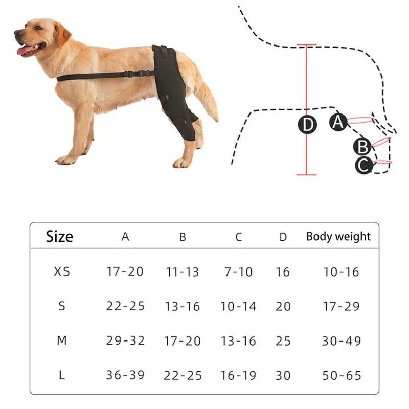 AnniePaw Pet Knee Pads - Hip Joint Support Brace for Recovery AnniePaw Wear