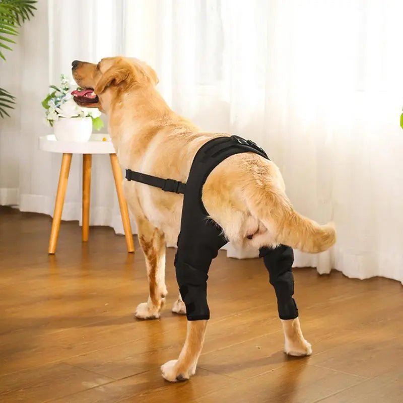 AnniePaw Pet Knee Pads - Hip Joint Support Brace for Recovery AnniePaw Wear