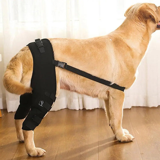 AnniePaw Pet Knee Pads for Dog Hip Joint Support Leg Injury Recovery Brace