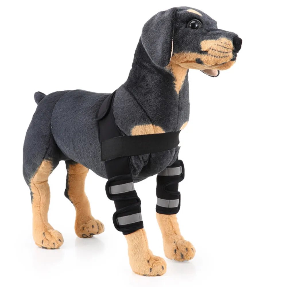AnniePaw Adjustable Dog Knee Brace for Hock Recovery Bandage Wrap AnniePaw Wear