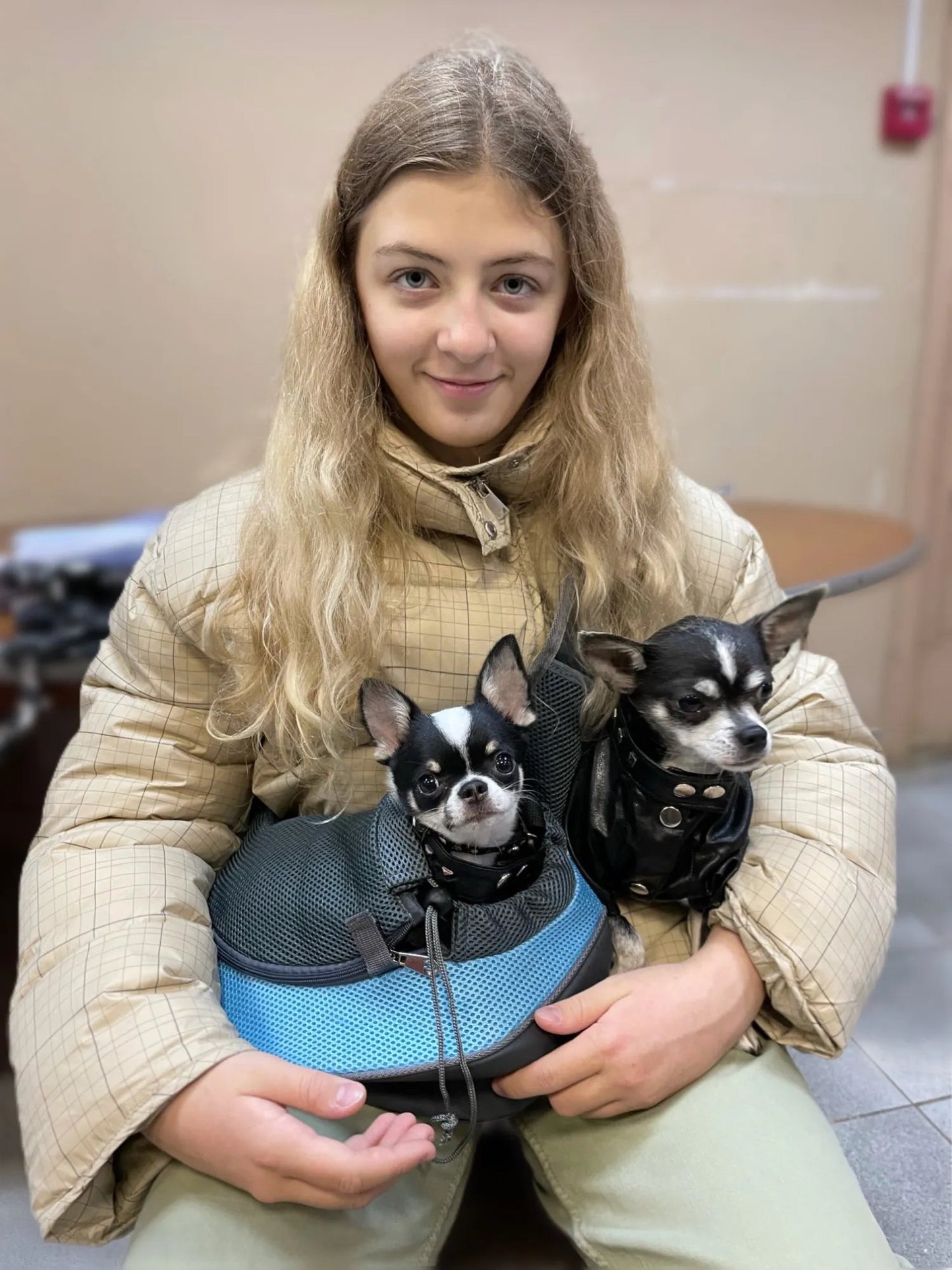 Anniepaw Outdoor Mesh Oxford Pet Puppy Carrier Comfort Shoulder Bag AnniePaw Wear