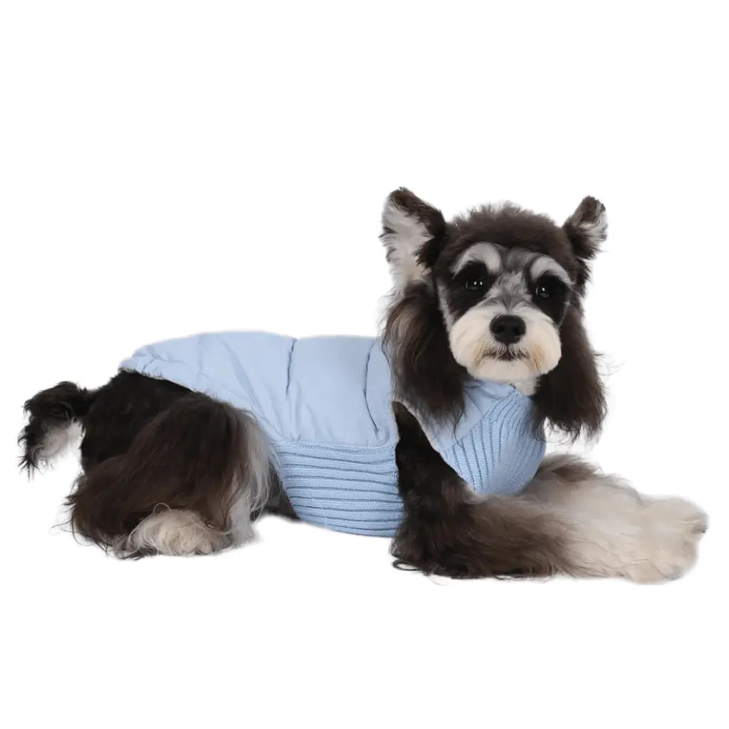 Anniepaw Polar Pup Panache: Lavish Blue-Purple Warmth for Tiny Tails AnniePaw Wear