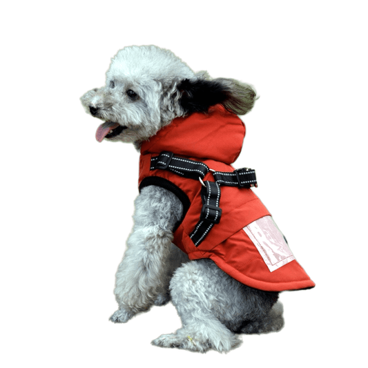 Anniepaw Polar Pup Panache Winter Vest with Leash-Hood Combo