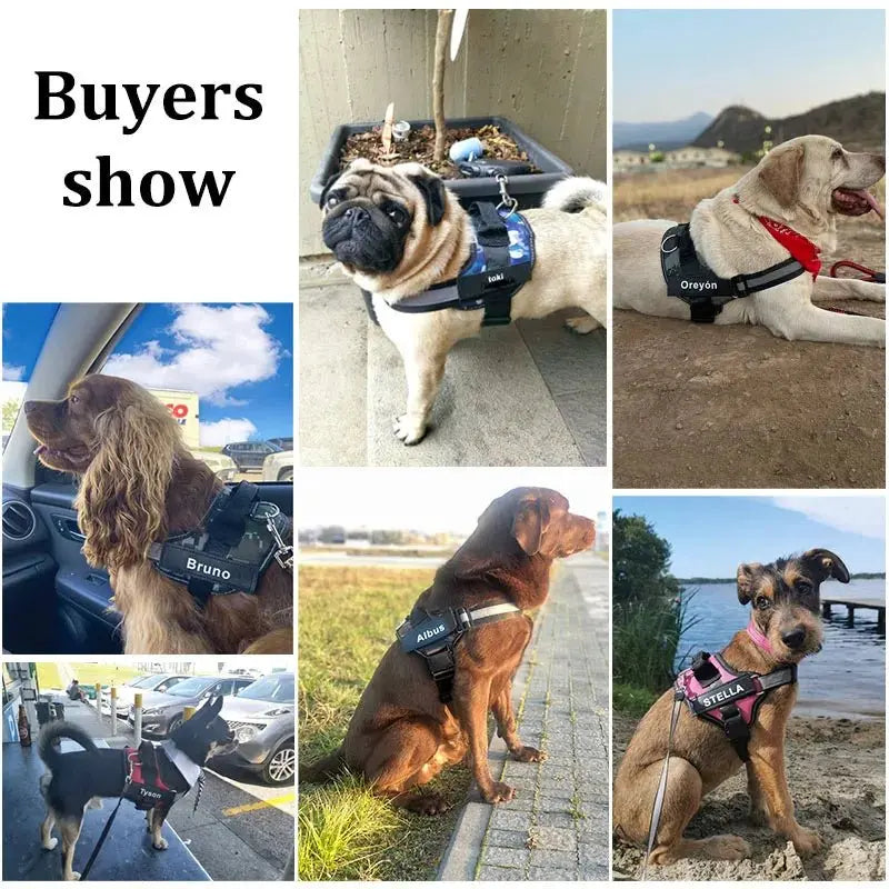 Anniepaw Reflective No-Pull Personalized Dog Harness Breathable Vest for Outdoor Activities Training for All Dog Sizes AnniePaw Wear