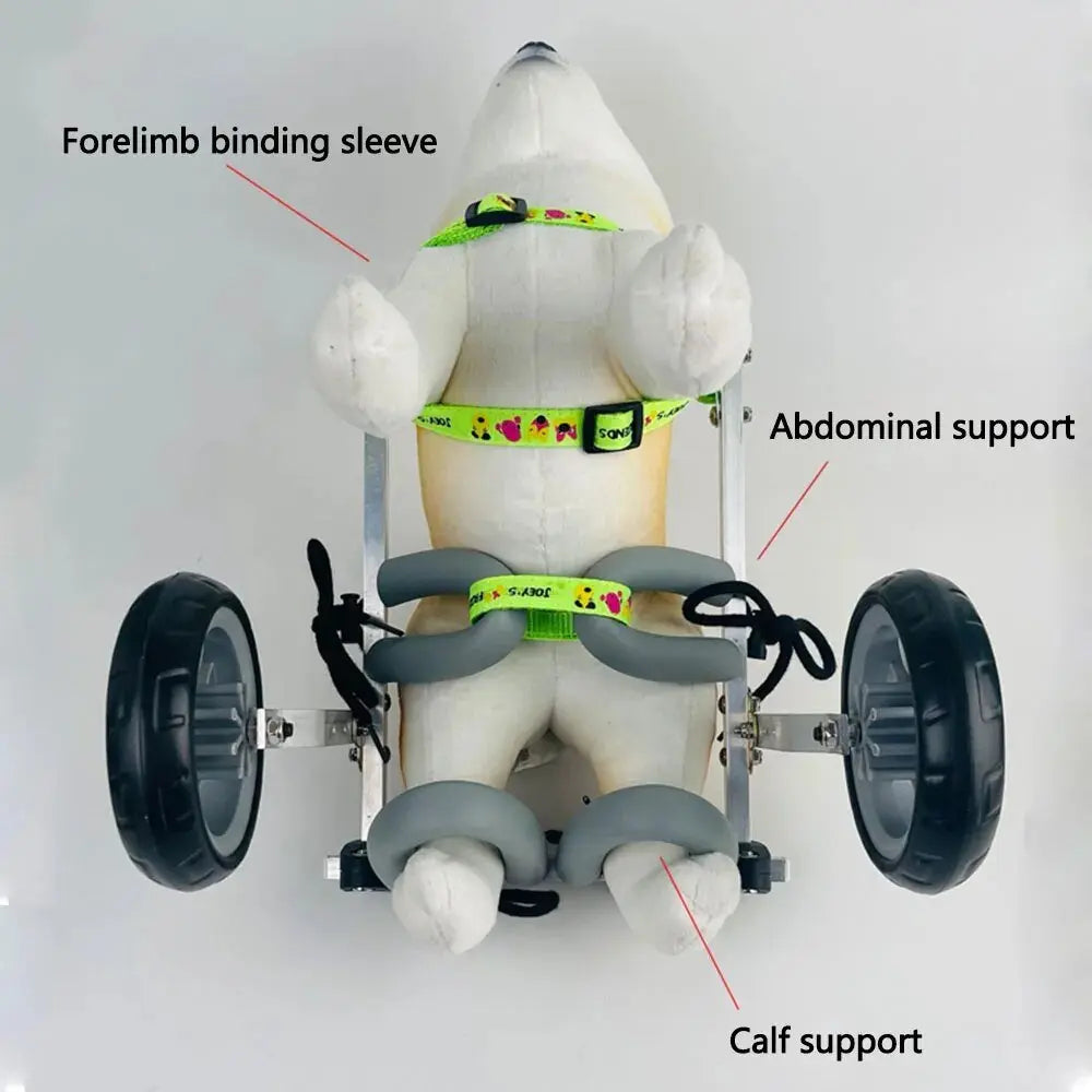 AnniePaw Dog Wheelchair - Hind Limb Mobility Aid for Pets AnniePaw Wear