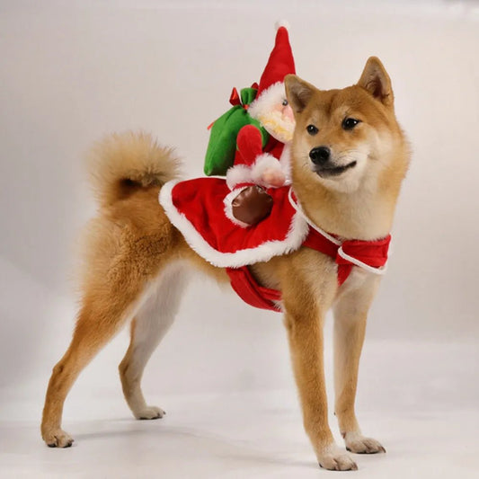 Santa Claus Riding Dog Costume: Christmas & Halloween Pet Outfit - Annie Paw WearcostumesAnniePaw Wear