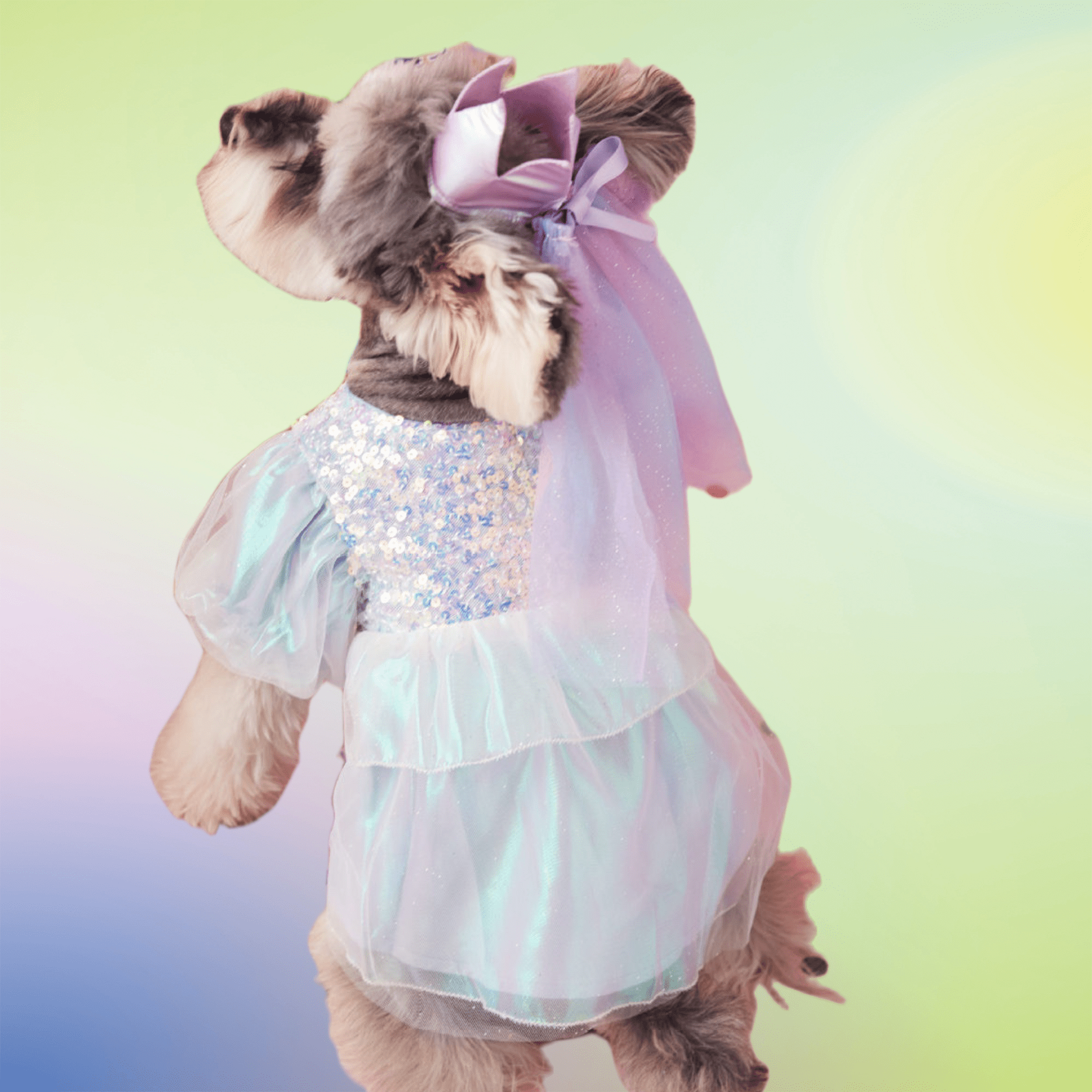 Anniepaw Sequined Azure Elegance Ball Gown AnniePaw Wear