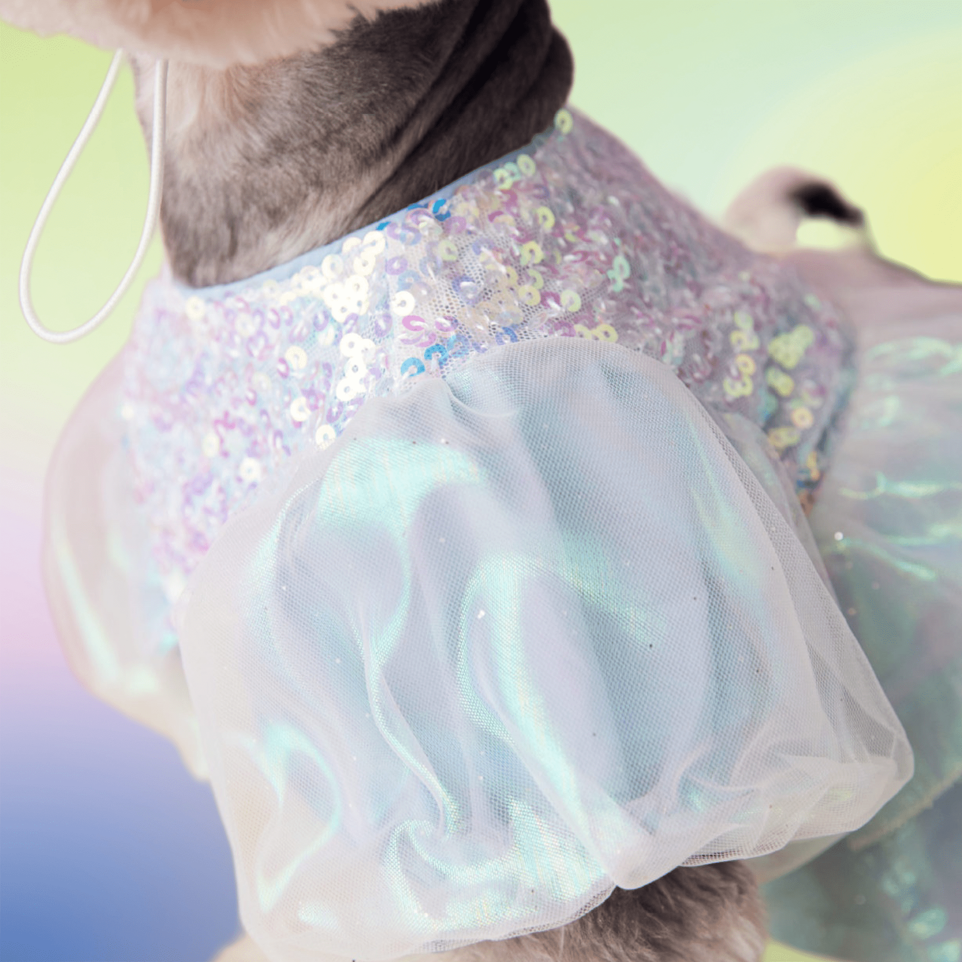 Anniepaw Sequined Azure Elegance Ball Gown AnniePaw Wear
