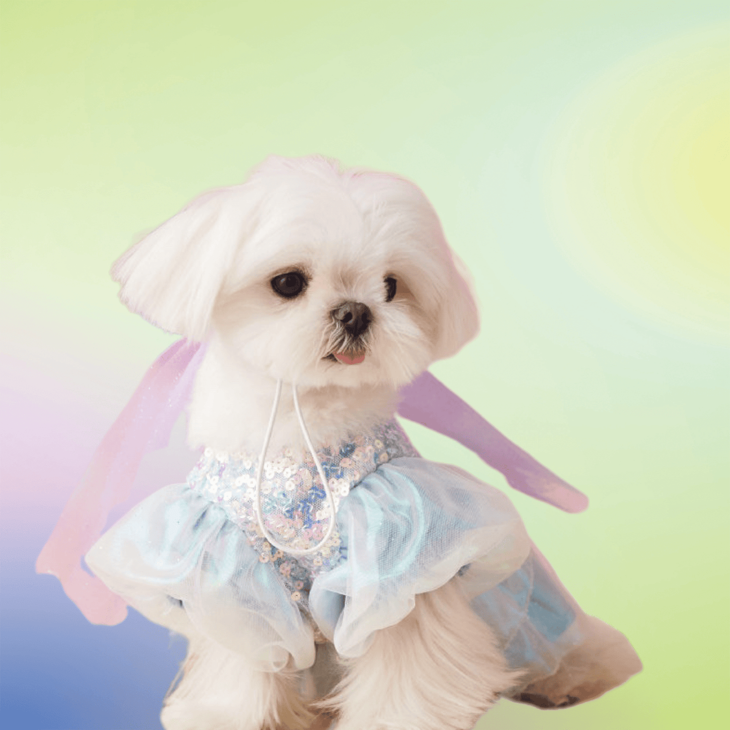 Anniepaw Sequined Azure Elegance Ball Gown AnniePaw Wear