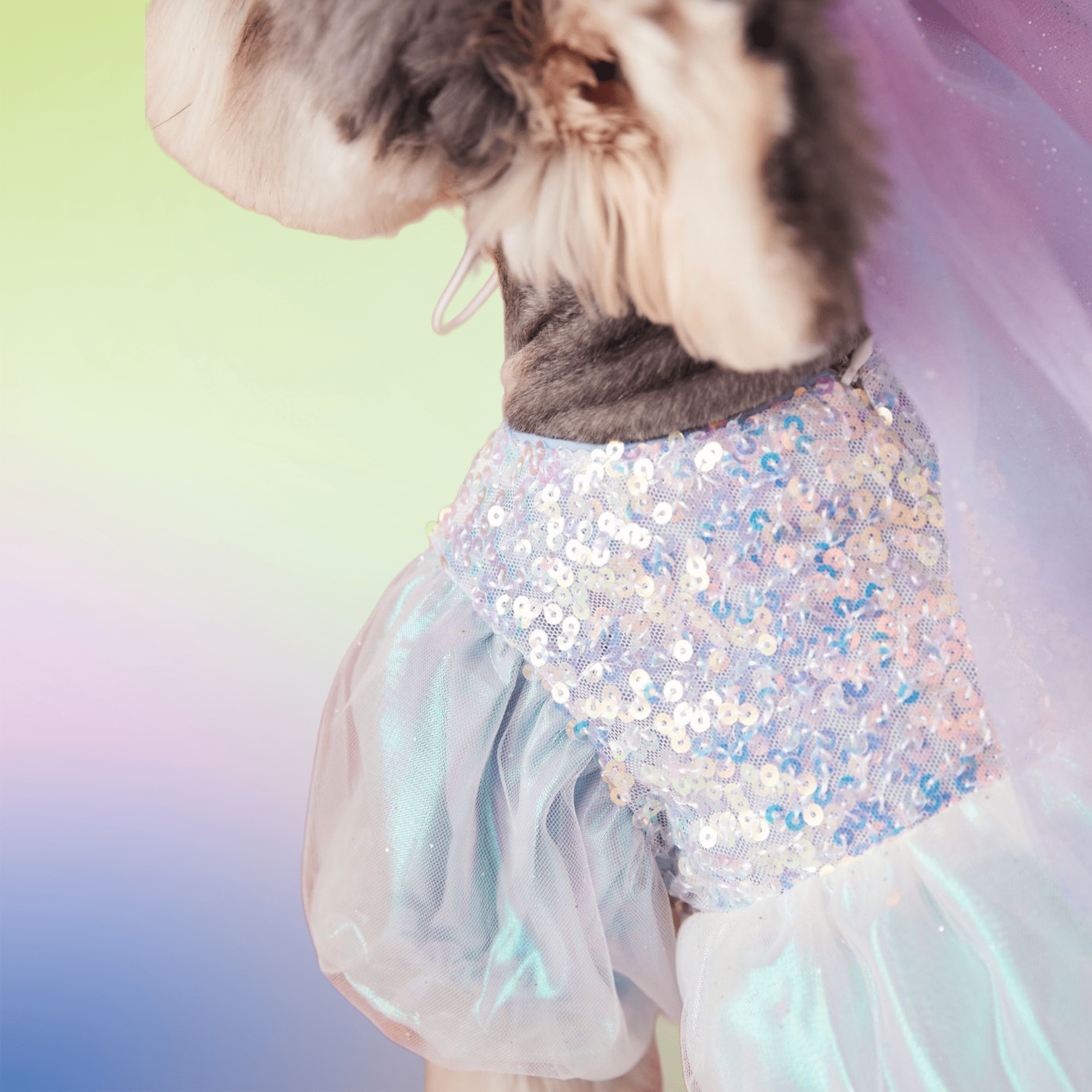 Anniepaw Sequined Azure Elegance Ball Gown AnniePaw Wear