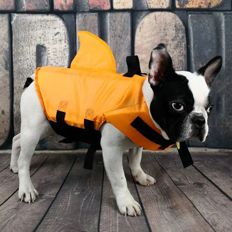 Shark Dog Life Vest: Summer Swimwear Jacket for Small, Medium, and Large Dogs - Annie Paw WearOutdoor WearAnniePaw Wear