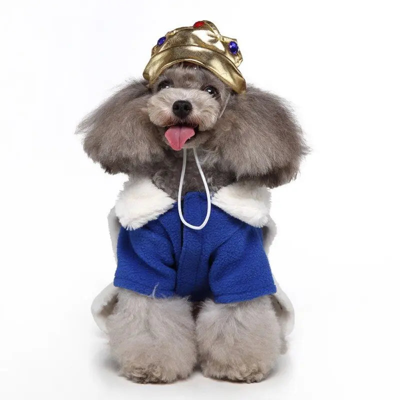 Teddy Halloween Cosplay King Costumes Pets Funny Outfits Set Dogs Halloween - Annie Paw WearcostumesAnniePaw Wear