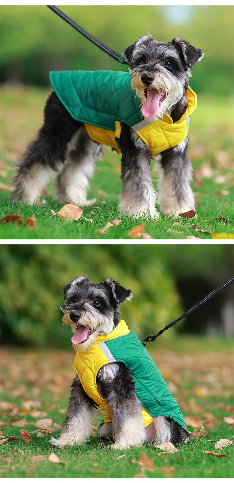 Waterproof Winter Dog Vest Jacket for Small to Large Dogs Warm Padded Coat for French Bulldog - Annie Paw WearWinter OutwearAnniePaw Wear