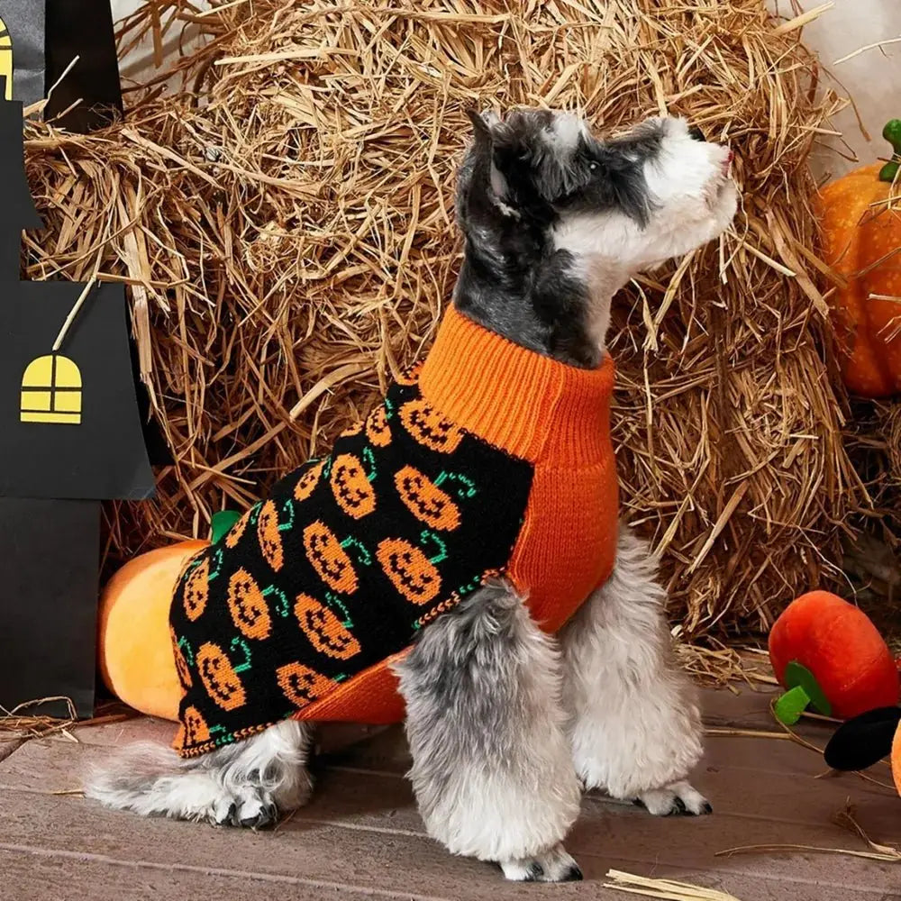 Winter Christmas Knitted Sweater with Halloween Pumpkin for Small to Medium Dogs Cats Puppy Jacket - Annie Paw WearWinter OutwearAnniePaw Wear