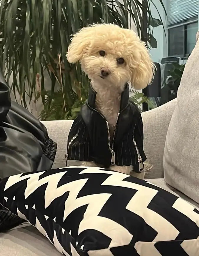 Zip-Leg Leather Handmade Jackets for Dogs Cats - Annie Paw WearWinter OutwearAnniePaw Wear
