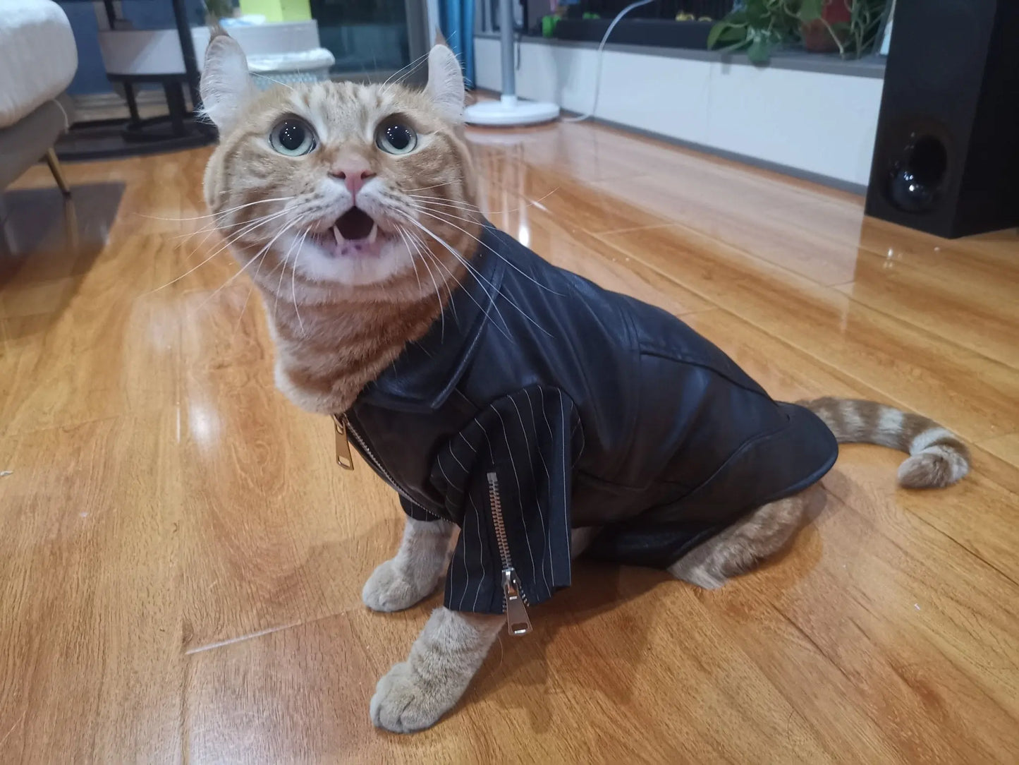 Zip-Leg Leather Handmade Jackets for Dogs Cats - Annie Paw WearWinter OutwearAnniePaw Wear