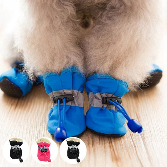 Pet Dog Shoes: Protecting Your Pup's Paws in Style - Annie Paw Wear