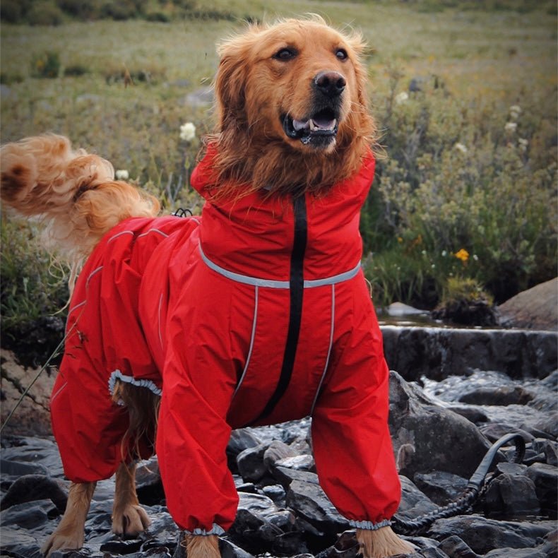 Picking the Perfect Dog Hiking Clothes - Annie Paw Wear