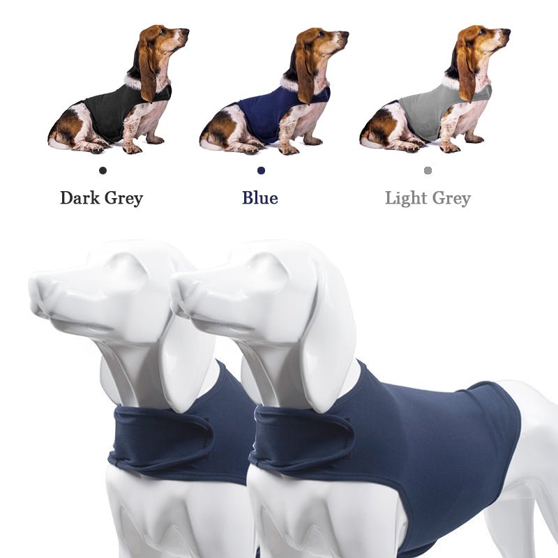 Ultimate Comfort: The Benefits of Dog Anti-Anxiety Clothes - Annie Paw Wear