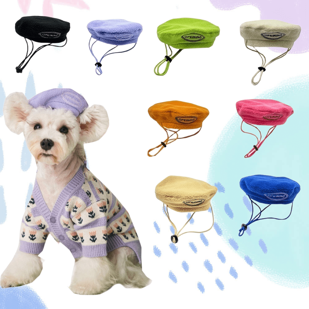 🧢 Accessories - Annie Paw Wear