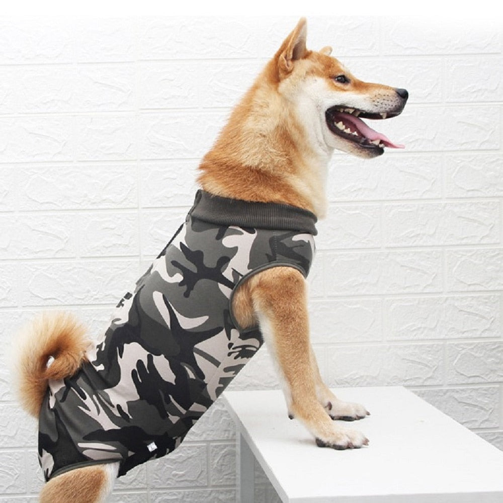 AnniePaw Dog Recovery Suit - Abdominal Support for Post-Op Care AnniePaw Wear