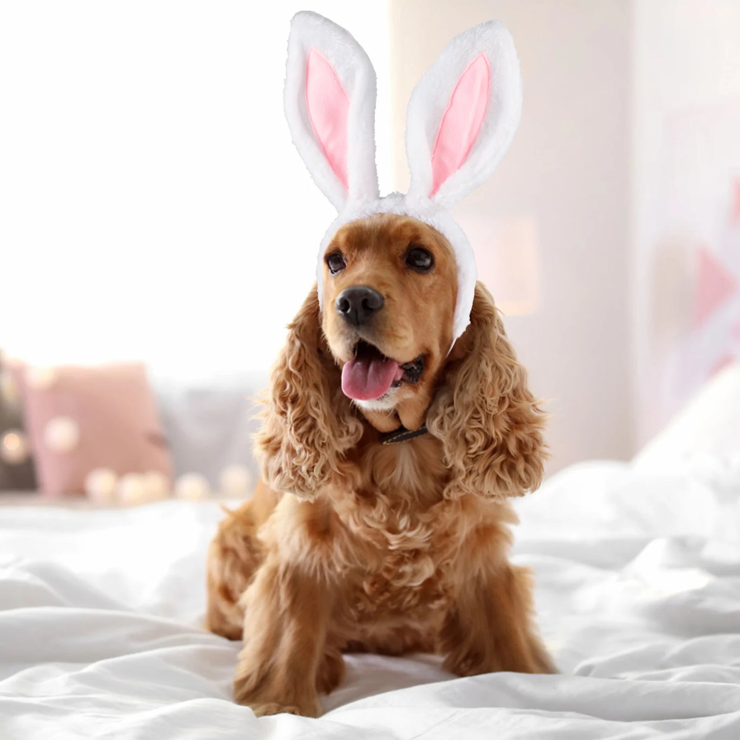 Easter Dog Collar with Bowtie Bunny Carrots Adjustable Cute Pink Anniepaw