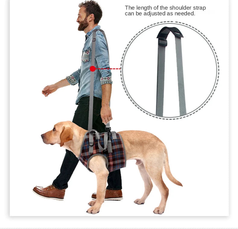 AnniePaw Leg Harness for Senior Dogs - Support for Mobility