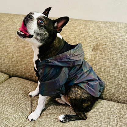 Anniepaw Fashion Flashing Dog Hoodie: Reflective Jacket Clothing for Small to Large Pets