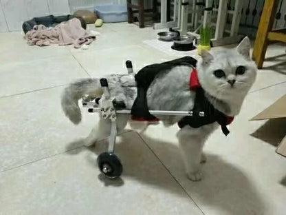 Pet wheelchair small and medium-sized dog auxiliary walking car rear limb paralysis dog disabled spine walking aid cart